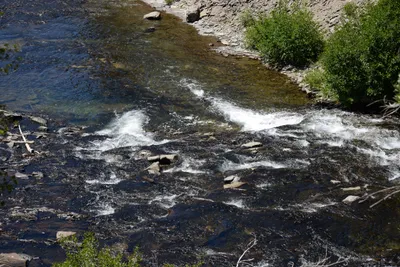 DSC_3768 (Large).JPG